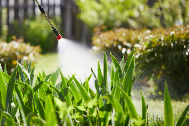 24/7 Emergency Mosquito Control experts in Atwater, MN